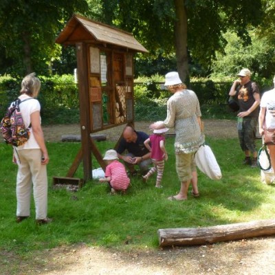 Doorstep Safari - Wildlife for Kids